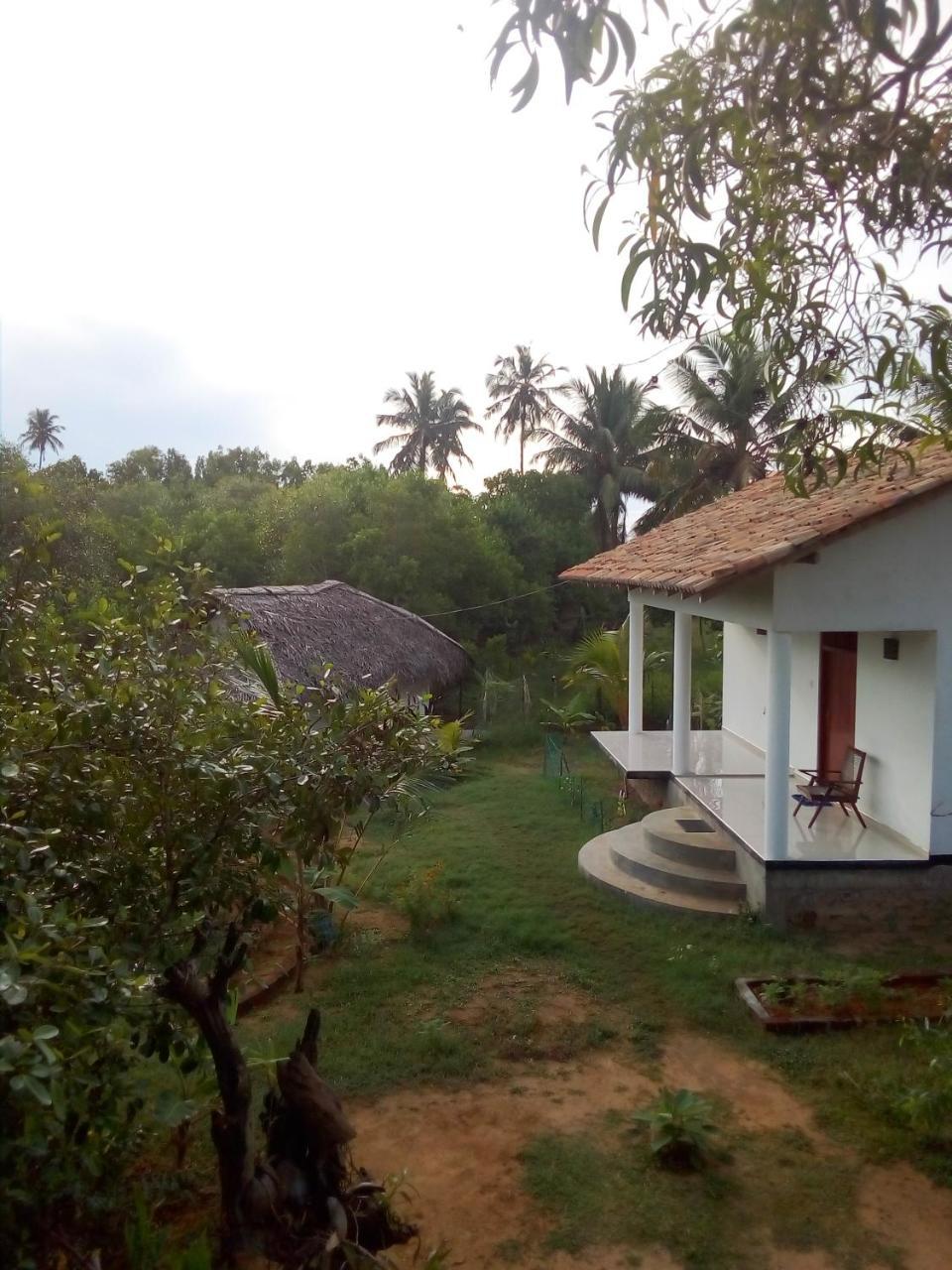 Mermaid Cabana And Tree Houses Tangalle Luaran gambar