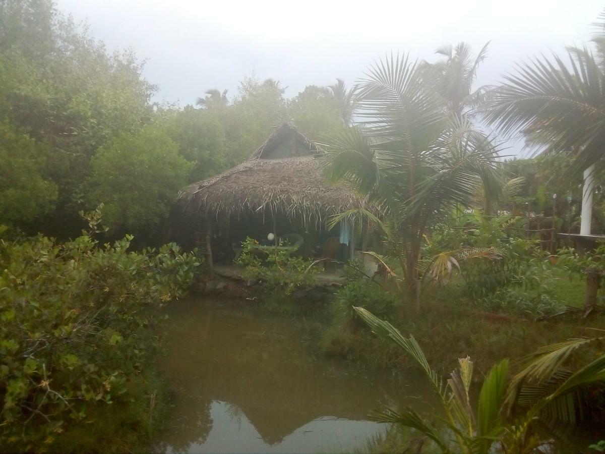 Mermaid Cabana And Tree Houses Tangalle Luaran gambar