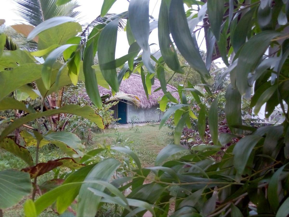 Mermaid Cabana And Tree Houses Tangalle Luaran gambar