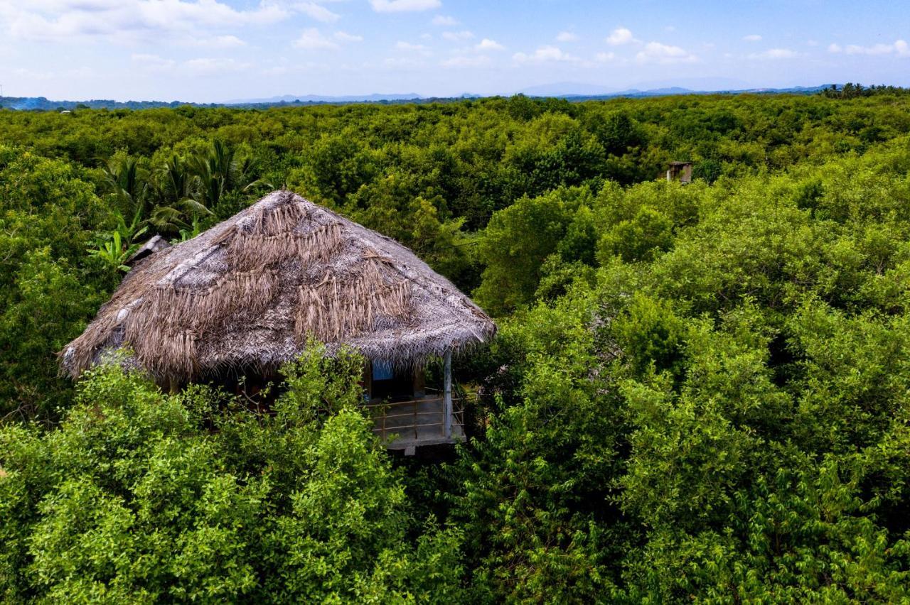 Mermaid Cabana And Tree Houses Tangalle Luaran gambar